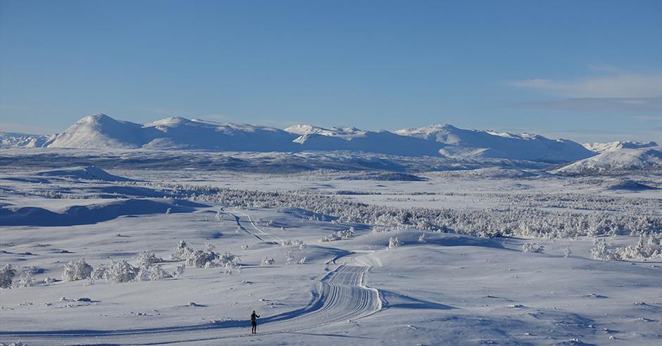 Preparerte langrennsløyper over snaufjellet ved Vaset